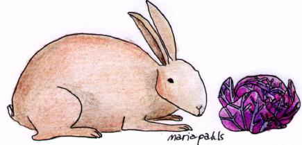 rabbit & cabbage © 2001 Maria Pahls