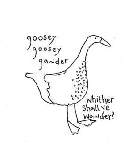 sp76-008goose.gif