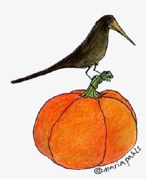 crow on pumpkin